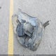 3KPFL4A74HE021263 2017 Kia Forte Ex/Ex Luxury/Ex+/Lx/Lx+ auction photo thumbnail 12