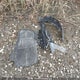 3VWEB7BU7LM071929 2020 Volkswagen Jetta Highline auction photo thumbnail 12