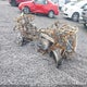 LCELVYZ37H6000595 2017 Cf Moto Zforce 800 Trail/Ex auction photo thumbnail 1