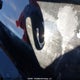 2HGFC3B37GH427581 2016 Honda Civic Ex auction photo thumbnail 19