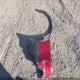 5N1AT2MV6GC746759 2016 Nissan Rogue S/Sl/Sv auction photo thumbnail 12