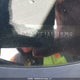 JM1BL1SF1A1318759 2010 Mazda 3 I auction photo thumbnail 19