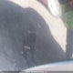 YV1CZ59H341051723 2004 Volvo Xc90 auction photo thumbnail 18