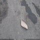 KMHDH4AH1FU288548 2015 Hyundai Elantra Se/Sport/Limited auction photo thumbnail 12