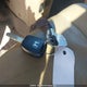 5J6RE487X9L801798 2009 Honda Cr-V Exl auction photo thumbnail 10