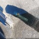 3KPF24AD7LE218431 2020 Kia Forte Fe/Lxs auction photo thumbnail 17
