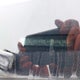 2T3BF4DV1AW045143 2010 Toyota Rav4 auction photo thumbnail 17