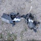 KMHLM4AG1MU075207 2021 Hyundai Elantra Preferred Ivt With Sun And Tech Package auction photo thumbnail 12