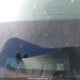 3GCUDCED0RG448590 2024 Chevrolet Silverado 1500 Custom Trail Boss auction photo thumbnail 19