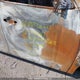 5N1AR2MM7EC718908 2014 Nissan Pathfinder S/Sv/Sl/Platinum auction photo thumbnail 11