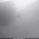2T1BR38E63C727301 2003 Toyota Corolla Ce/Le/S auction photo thumbnail 20