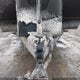 5SFPB3021JE347057 2018 Pioneer Rl 250 2018 Heartland Pioneer Rl250 25 Ft T/A Travel Trailer auction photo thumbnail 12