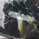 WA1CNAFY2J2225800 2018 Audi Q5 2.0T Technik auction photo thumbnail 9