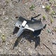 JM1BPACM4S1793468 2025 Mazda 3 Preferred auction photo thumbnail 12