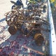 5SAAP41A577102526 2007 Suzuki Lt-A700 X auction photo thumbnail 3