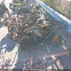 5SAAP41A577102526 2007 Suzuki Lt-A700 X auction photo thumbnail 4