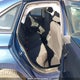3VWN57BU6KM077016 2019 Volkswagen Jetta 1.4 Tsi Comfortline auction photo thumbnail 8