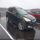 1FMCU9H97DUB73338 2013 Ford Escape Sel auction photo thumbnail 1