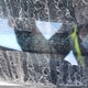 1HGCP2F87BA804859 2011 Honda Accord auction photo thumbnail 20