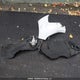 1G1ZE5ST2HF240925 2017 Chevrolet Malibu auction photo thumbnail 12