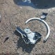 WA1EAAFY0P2120279 2023 Audi Q5 45 Progressiv auction photo thumbnail 12