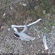5NPEB4ACXBH233728 2011 Hyundai Sonata Gls auction photo thumbnail 12
