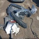 JNRBS18WX9M201802 2009 Infiniti Fx50 auction photo thumbnail 12