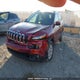 1C4PJMCB7GW139128 2016 Jeep Cherokee North auction photo thumbnail 2