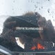 3VWFM7BU4RM046493 2024 Volkswagen Jetta auction photo thumbnail 20