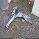 5N1AT2MV4LC726178 2020 Nissan Rogue S/Sl/Sv auction photo thumbnail 12