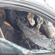 WAUHGCFC6DN055785 2013 Audi A6 auction photo thumbnail 5