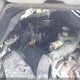 1FMCU0DG6BKC15104 2011 Ford Escape Xlt auction photo thumbnail 10