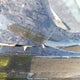 5J6RE4H78BL804141 2011 Honda Cr-V Ex-L auction photo thumbnail 20