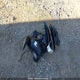 3GNAXWEGXRL172035 2024 Chevrolet Equinox Rs auction photo thumbnail 12