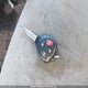 2T1BU4EE1AC199284 2010 Toyota Corolla Ce auction photo thumbnail 11
