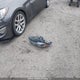 5XYPGDA35LG645414 2020 Kia Sorento 2.4L Lx/2.4L Lx+/3.3L Lx+ auction photo thumbnail 12
