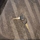 JHLRD1840XC804657 1999 Honda Cr-V Lx auction photo thumbnail 11