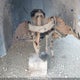 1GCHK23D66F268919 2006 Chevrolet Silverado K2500 Heavy Duty auction photo thumbnail 21