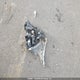 1C4SDJCT5MC740818 2021 Dodge Durango R/T auction photo thumbnail 12
