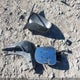 2HGES16654H931047 2004 Honda Civic Lx auction photo thumbnail 11
