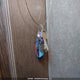 4YDT40727GW160180 2016 Trailer Domestic auction photo thumbnail 11