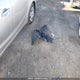 3KPFL4A78HE021640 2017 Kia Forte Ex/Ex Luxury/Ex+/Lx/Lx+ auction photo thumbnail 12