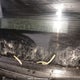 JT2BC53L1X0361310 1999 Toyota Tercel Ce auction photo thumbnail 9