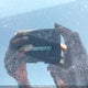 JN8AY2BB9P9837282 2023 Nissan Armada Sl auction photo thumbnail 20