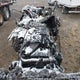 3AKJHHDR0NSNA8794 2022 Freightliner Cascadia 126 auction photo thumbnail 5