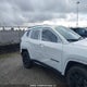 3C4NJDFN8ST626298 2025 Jeep Compass Altitude auction photo thumbnail 19