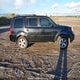 5FNYF4H50AB501580 2010 Honda Pilot Exl auction photo thumbnail 13