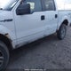 1FTFW1EF3BKD69020 2011 Ford F150 Supercrew auction photo thumbnail 6