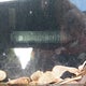 1G1PG5S90B7212001 2011 Chevrolet Cruze Lt auction photo thumbnail 17