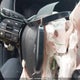 2HGFE2F50RH112169 2024 Honda Civic Sport auction photo thumbnail 11